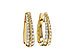 A320-48989: EARRINGS 1.00 TW