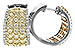 C235-03507: EARR 2.14 YELLOW DIAS 2.45 TW