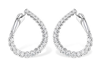 C319-55325: EARR 3.00 TW