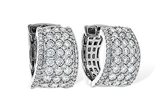 D235-94425: EARR 2.50 TW