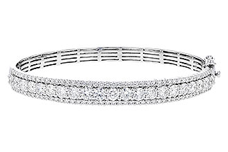 F319-55297: BANGLE 5.60 TW