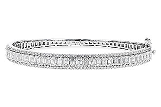 F319-56252: BANGLE 4.19 E.C. 5.30 TW