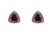 M232-35342: EARR 1.23 AMETHYST 1.43 TGW